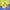 Invisalign™ Aligner and Retainer Case (