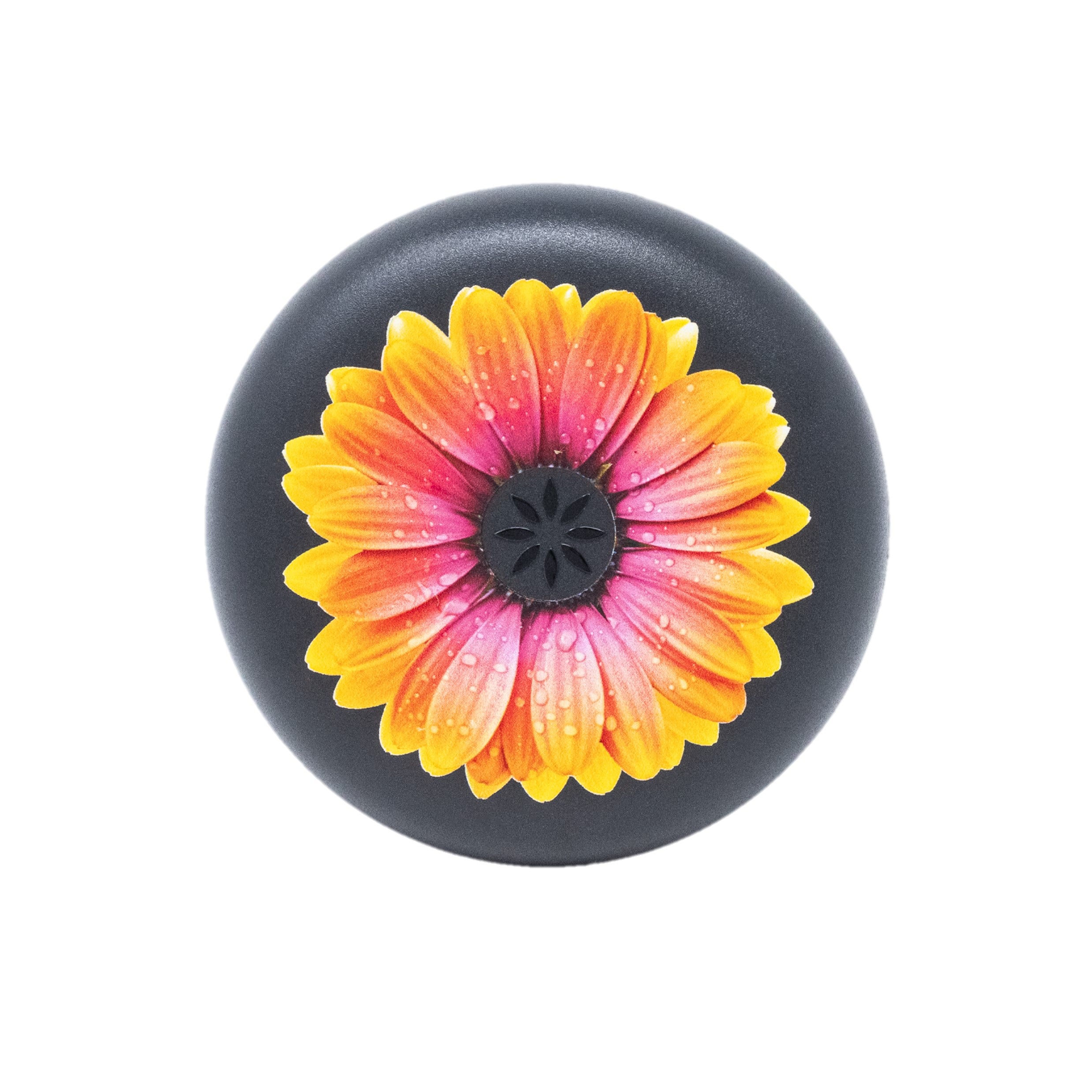 Orange Daisy