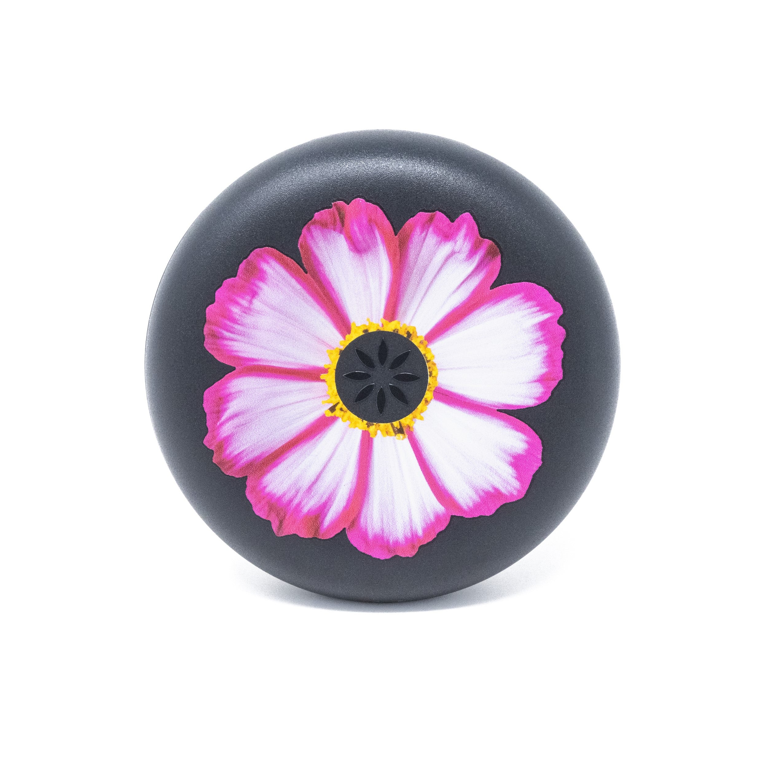 Pink Cosmos
