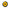 Invisalign aligner case sunflower design